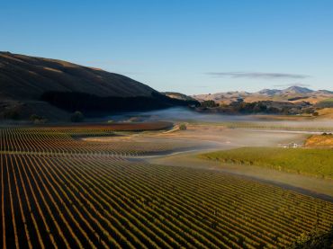 Wairarapa Wine Region